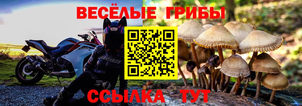 Аргун  Галлюциногенные грибы Psilocybe  Галлюциногенные грибы Magic Shrooms  Вход с VPN 